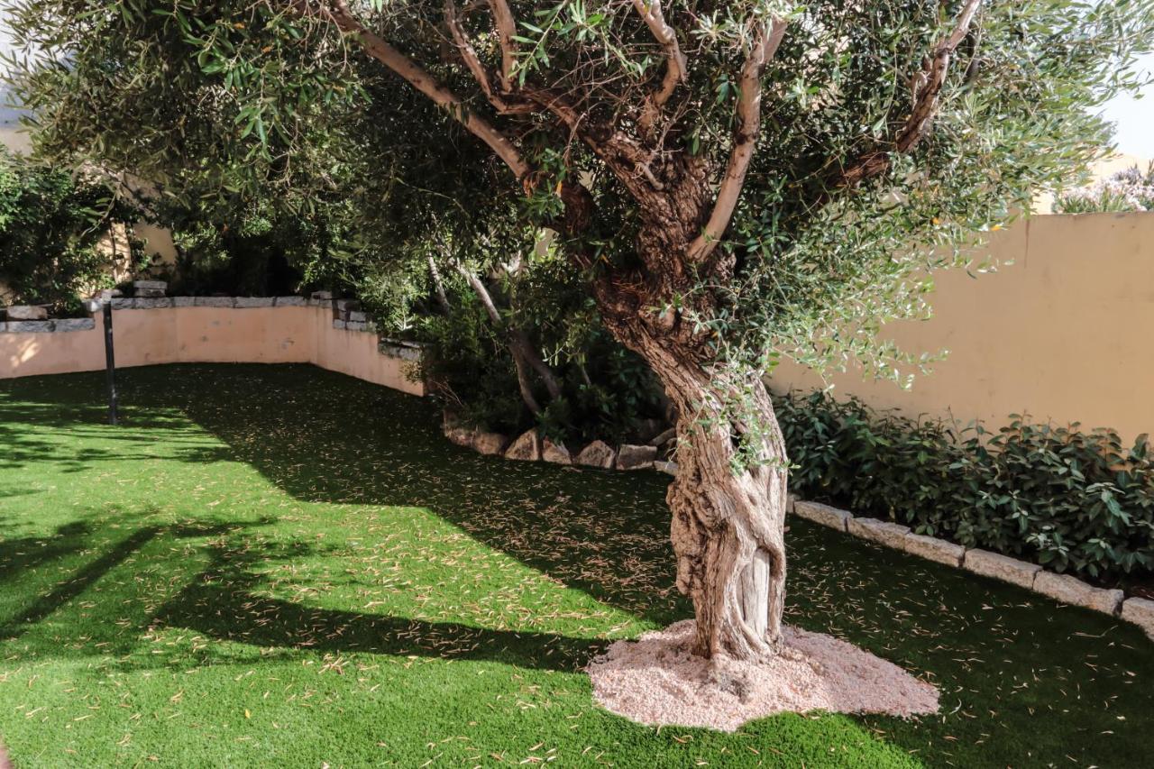 Rental Villa Bb Όλμπια Εξωτερικό φωτογραφία